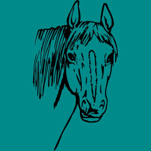 HORSE003 Thumbnail