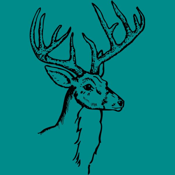 DEER017 Thumbnail