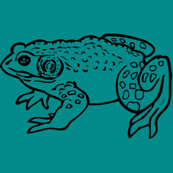 FROG02 Thumbnail