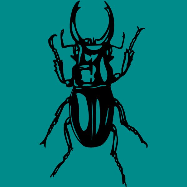 EARWIG Thumbnail