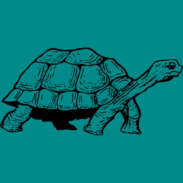 TURTLE01 Thumbnail