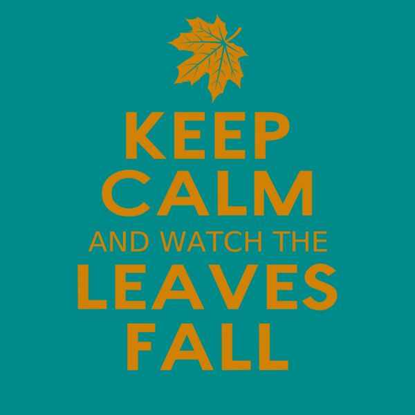 Fall Season 04 Thumbnail