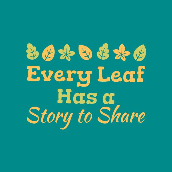 Fall Season 06 Thumbnail