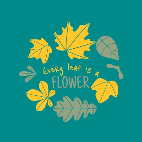 Fall Season 13 Thumbnail