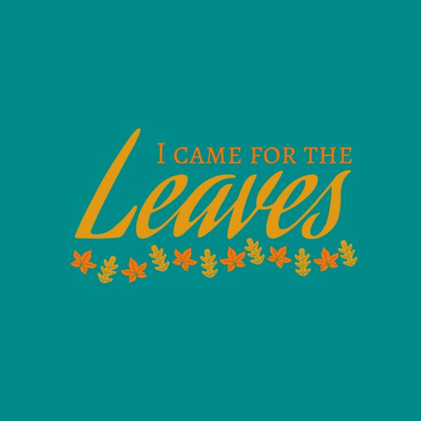 Fall Season 28 Thumbnail