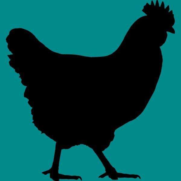 Chicken   Clipart 1 Thumbnail