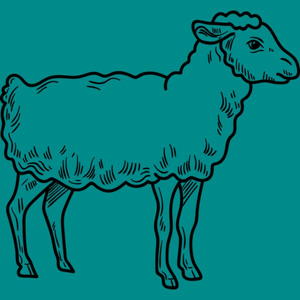 Lamb   Clipart 3 Thumbnail