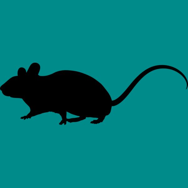 Mouse   Clipart 1 Thumbnail