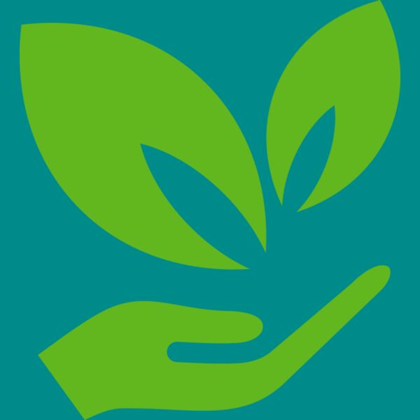 51 Leaves in hands Thumbnail